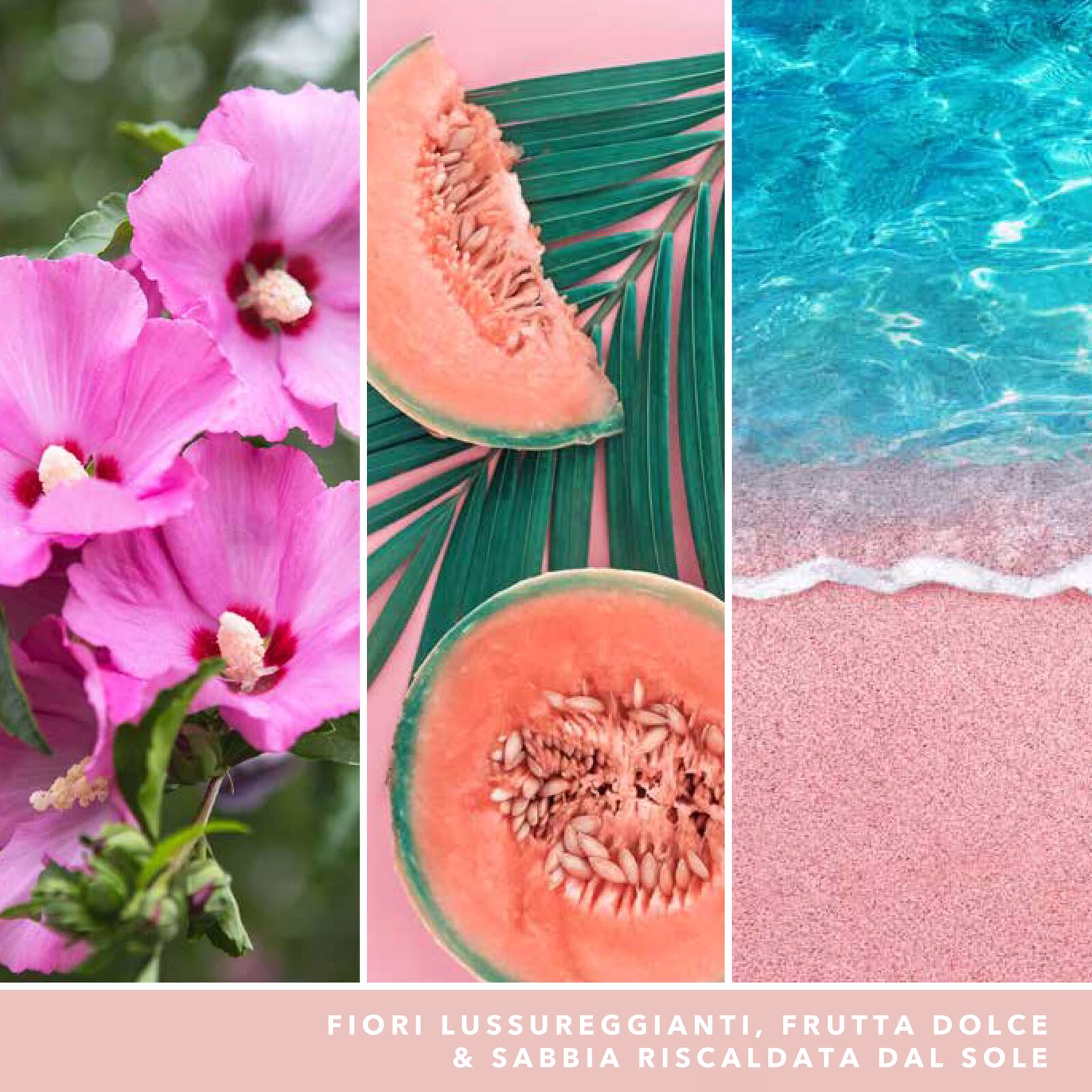 Pink Sands Signature Multiwick Tumbler 340g 5-Docht