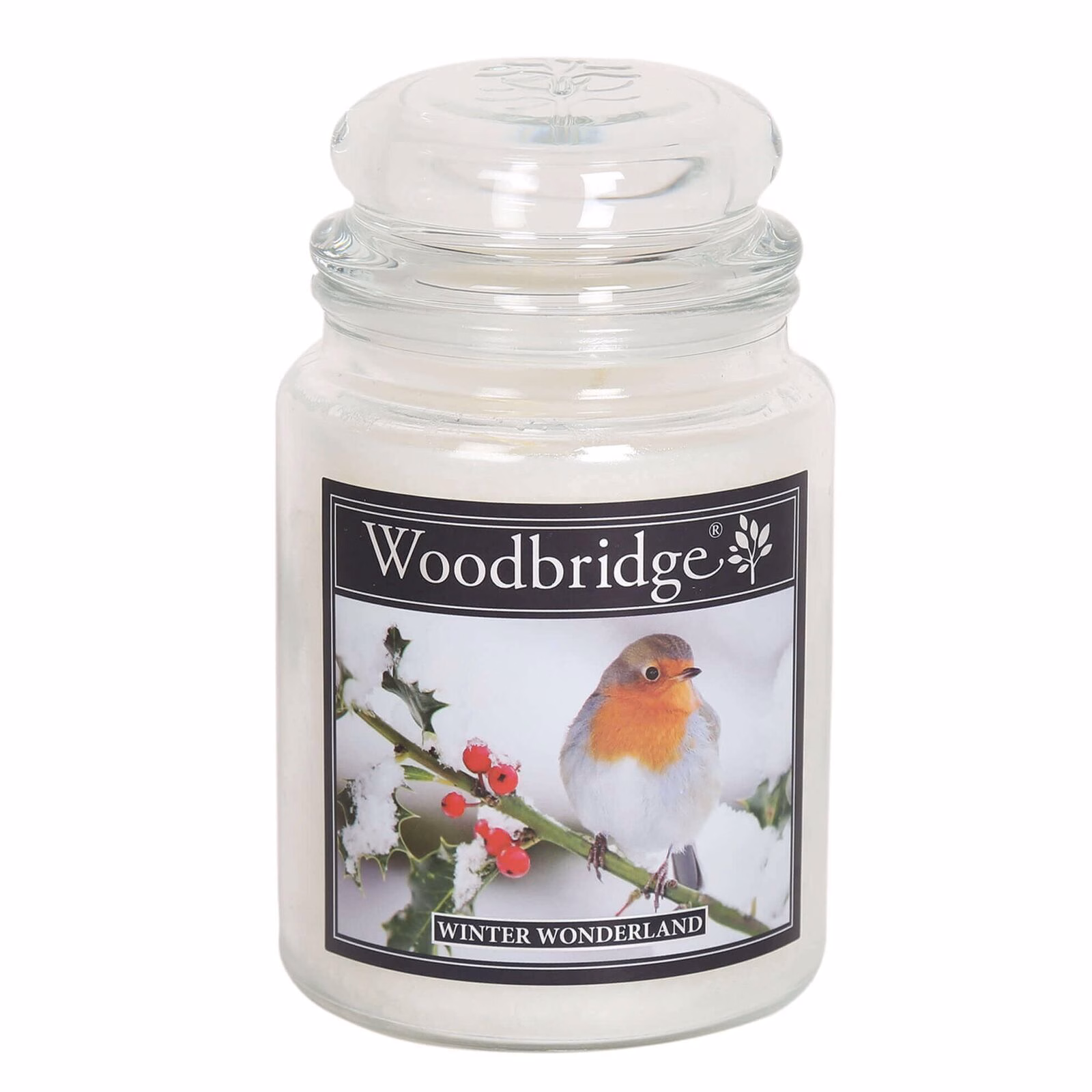 WLJ032 Winter Wonderland 565g