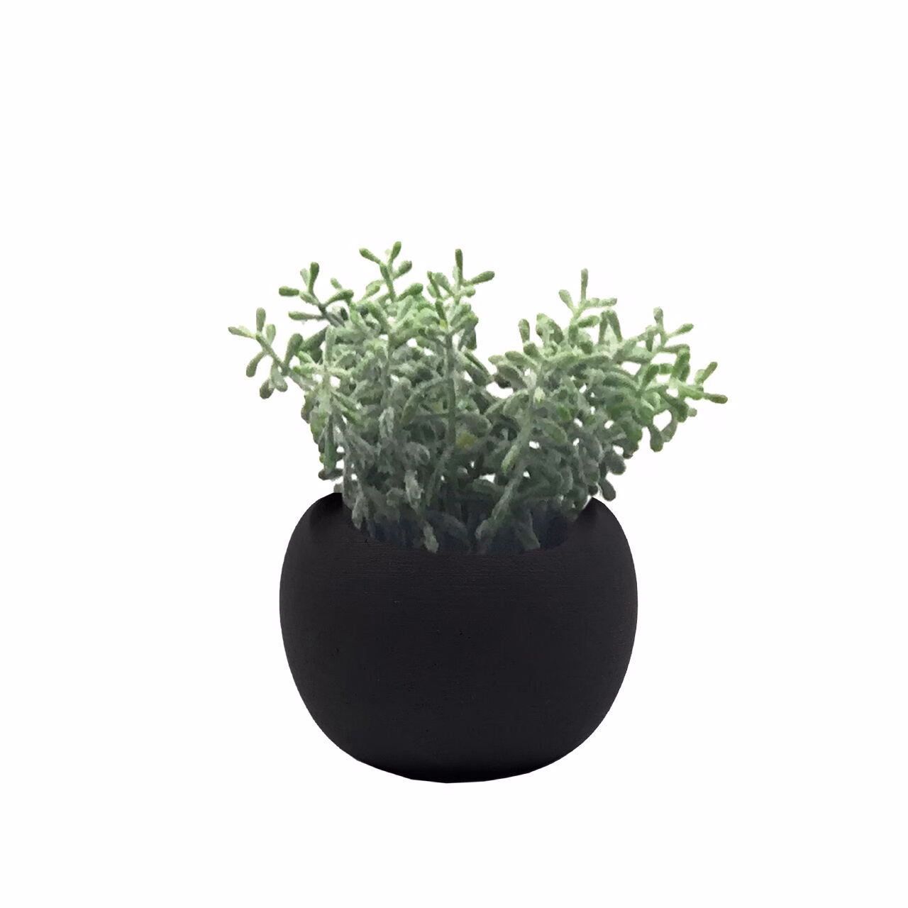 Deko Succulente 15cm Variante 3