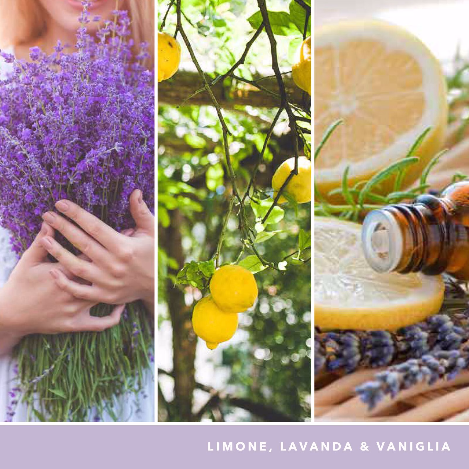 yc_signature_large_tumbler_1630038E_ATF_Italian_03 Lemon Lavender 37g Glasvotivkerze 3er Pack