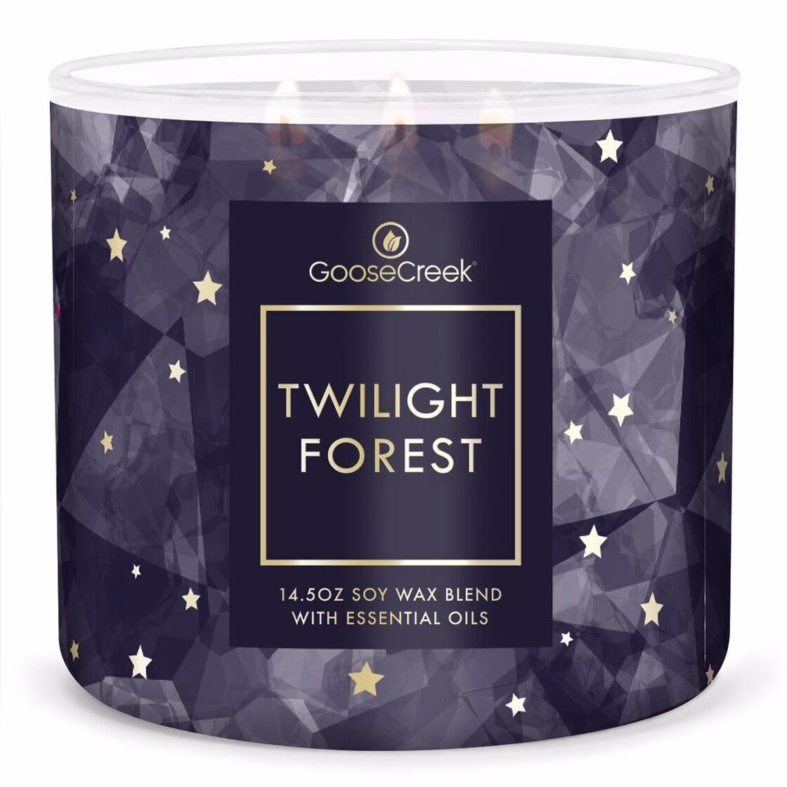 twilight-forest-3-docht-kerze-411gMRS9xsCxru2J4 Twilight Forest 411g (3-Docht)