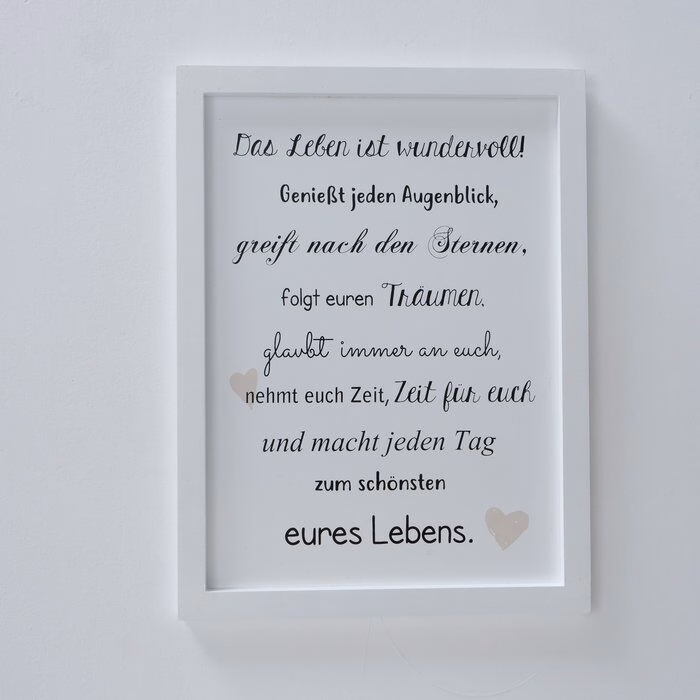 Schild Leben 40cm Variante 2