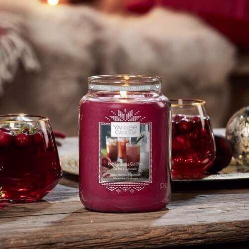 Pomegranate Gin Fizz 623g