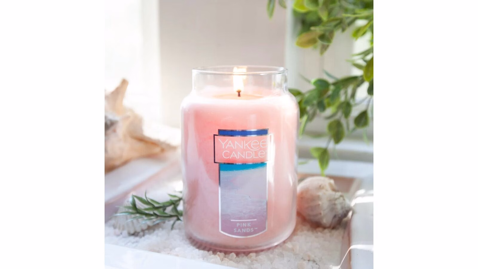 Pink Sands 623g