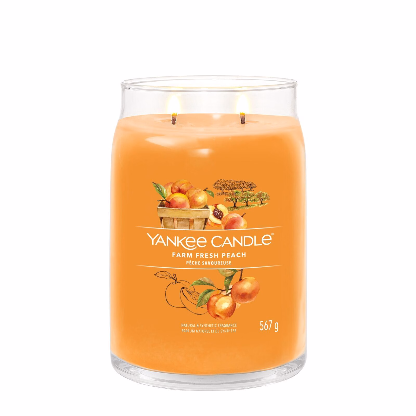 Farm_Fresh_Peach_Large_LIT-1-1 Farm Fresh Peach Signature Large Jar 567g 2-Docht