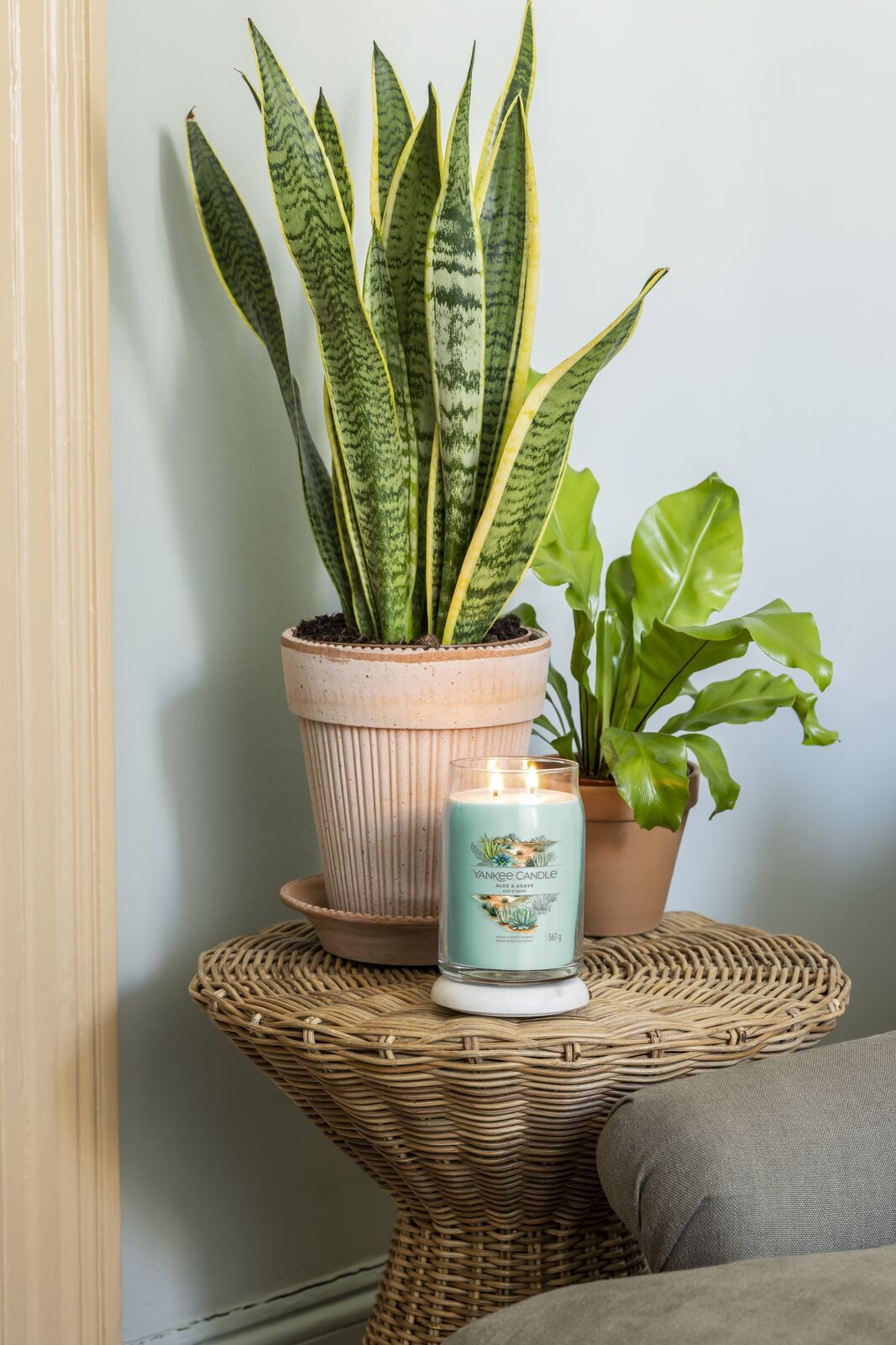 Aloe & Agave Signature Large Jar 567g 2-Docht