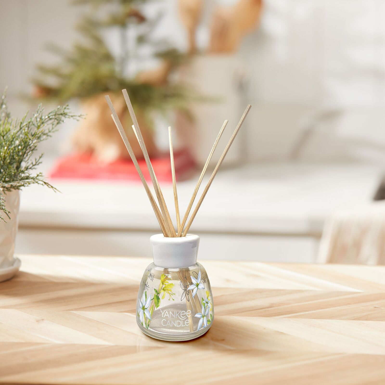 Midnight Jasmine Signature Reed Diffuser 100ml Midnight Jasmine Signature Reed Diffuser 100ml