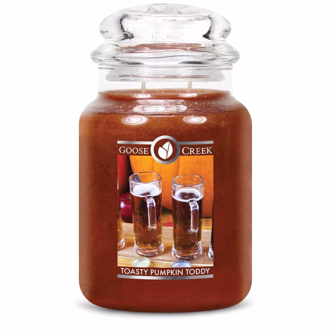 Toasty Pumpkin Toddy 680g