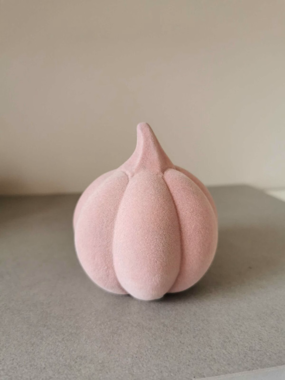 Kürbis Koba hoch altrosa 11,5cm
