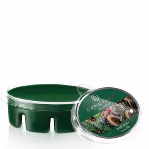 Thistle & Pine Simmer Snaps 70g