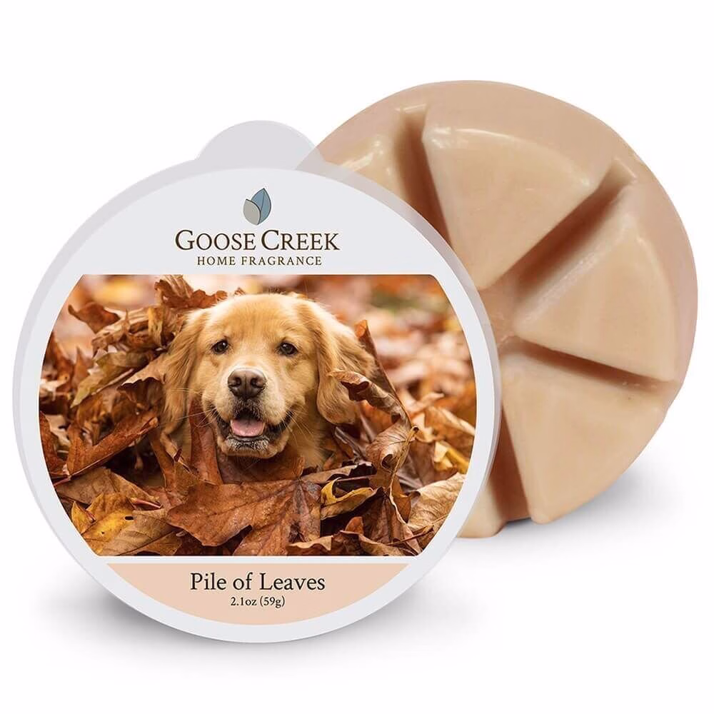 pile-of-leaves-wachsmelt-59g Pile of Leaves 59g von Goose Creek Candle