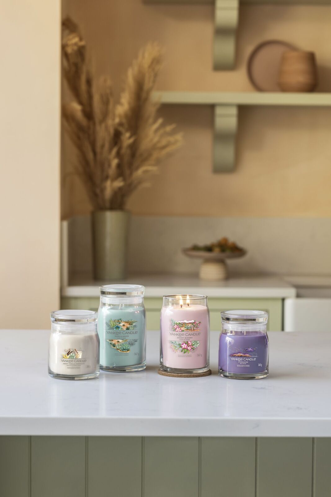 DESERT_BLOOMS_ALGOE_AND_AGAVE_STARGAZING_SWEET_VANILLA_HORCHARTA_GROUP_038 Aloe & Agave Signature Medium Jar 368g 2-Docht