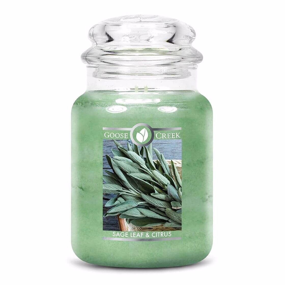 Sage Leaf & Citrus 680g
