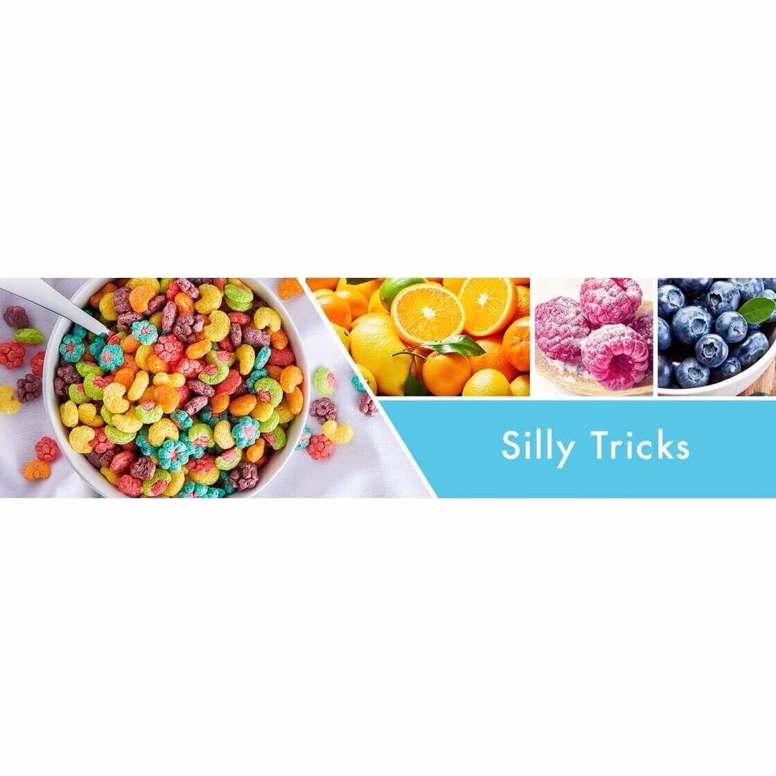 Silly Tricks 453g