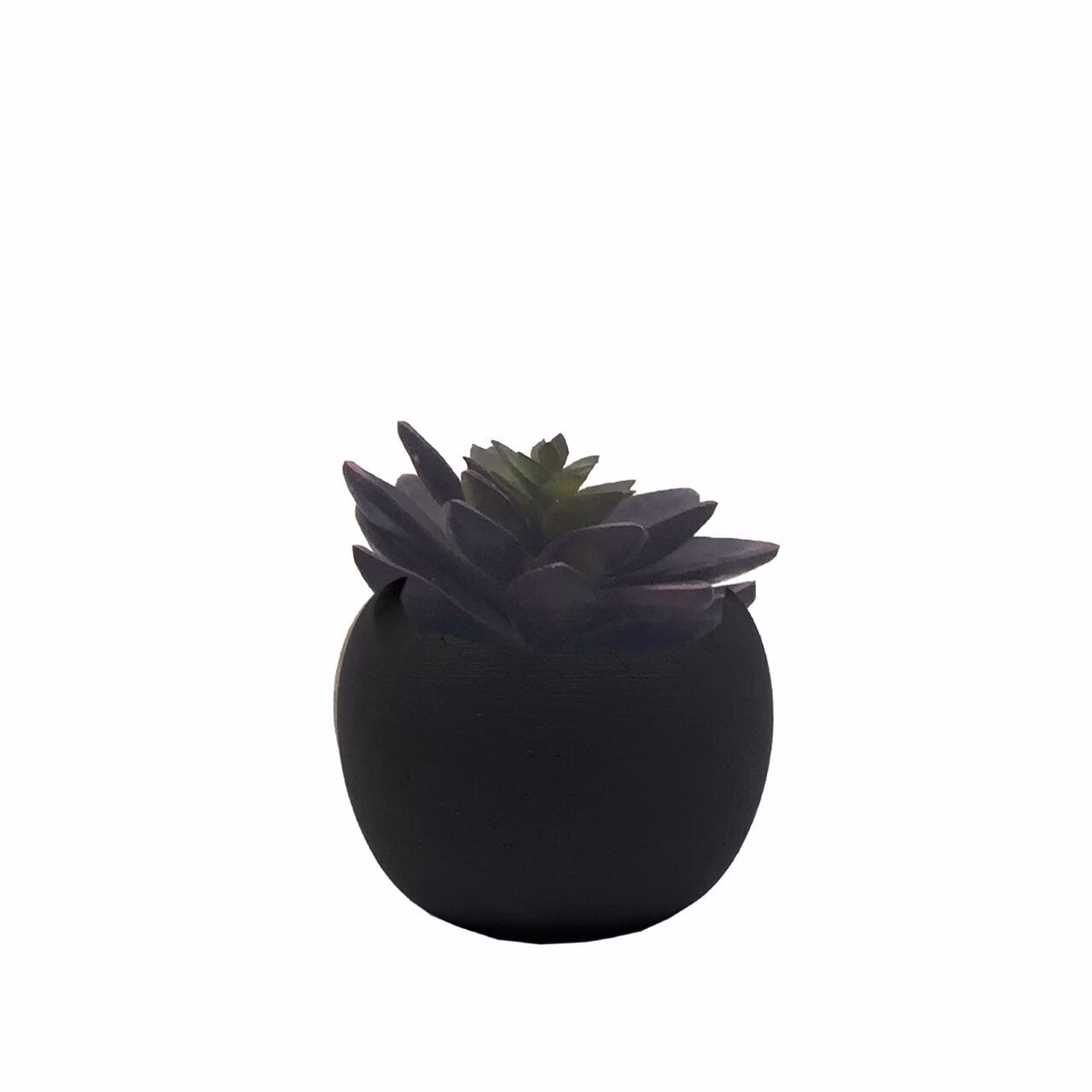 Deko Succulente 10cm Variante 6