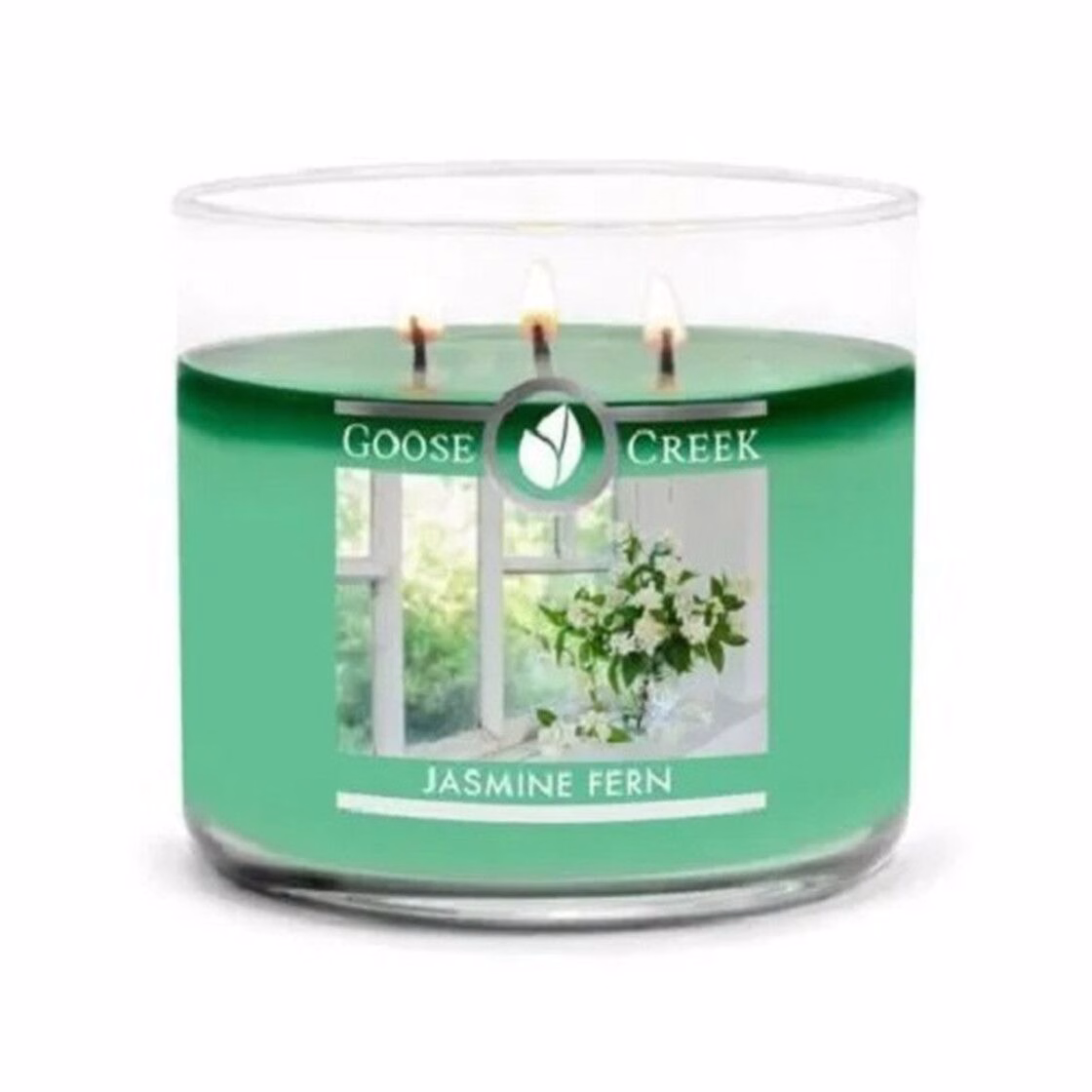 jasmine-fern-3-docht-kerze-411g Jasmine Fern 411g (3-Docht)