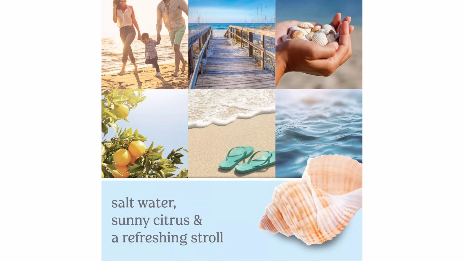 Beach Walk 623g