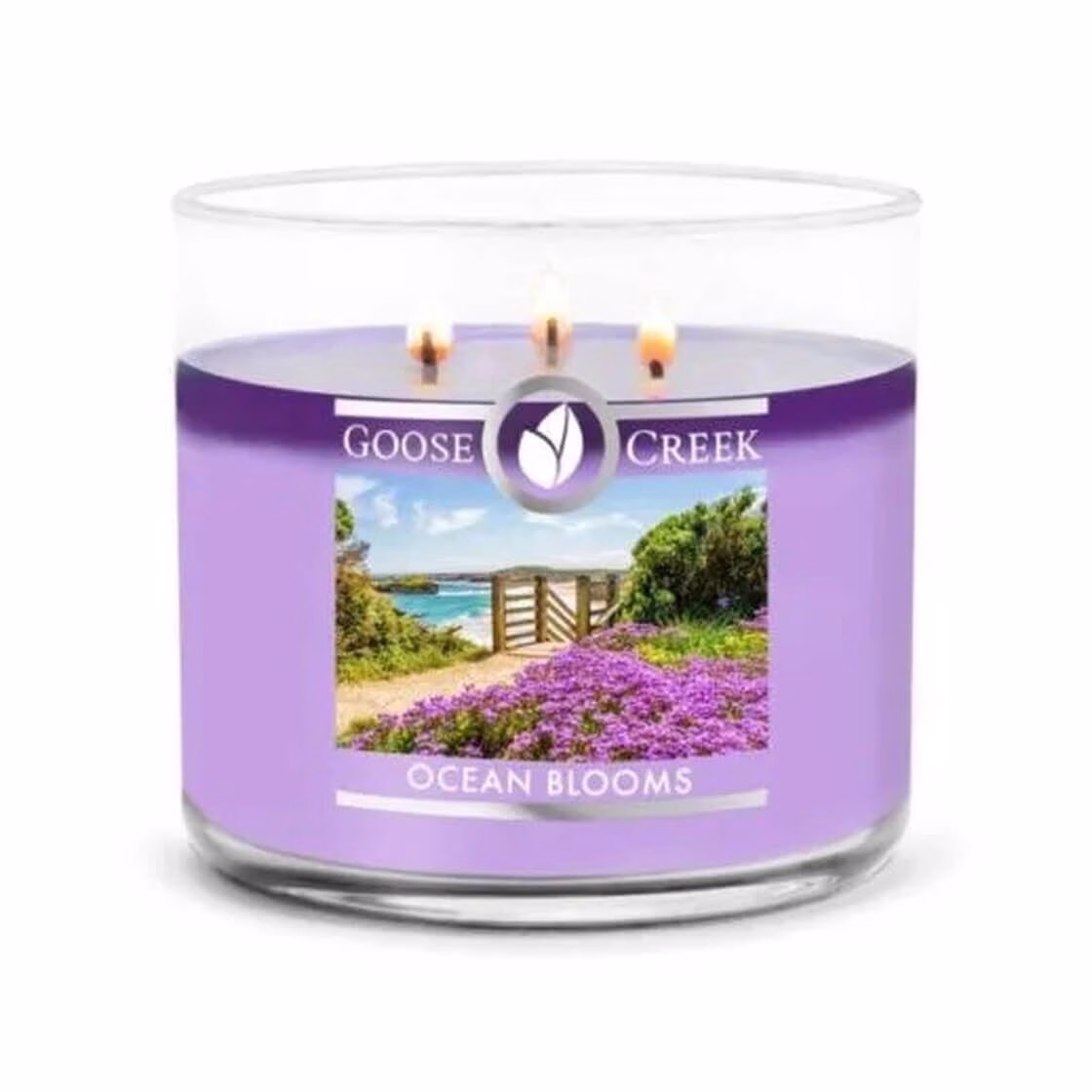 ocean-blooms-3-docht-kerze-411g Ocean Blooms 411g (3-Docht)