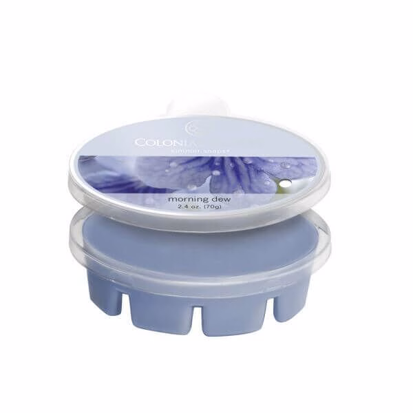 ccsnaps-4651_2_5594fff2efb48 Colonial Candle Morning Dew Simmer Snaps 70g