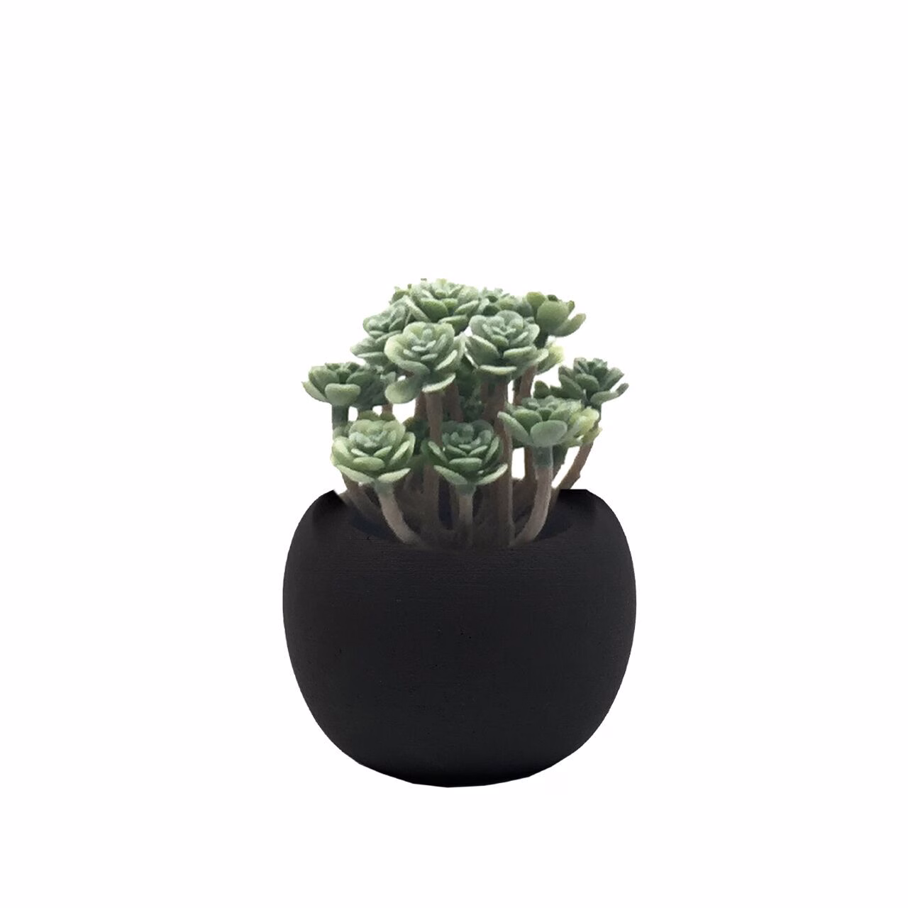 2yg7T6bxyItPRw Deko Succulente 15cm Variante 2