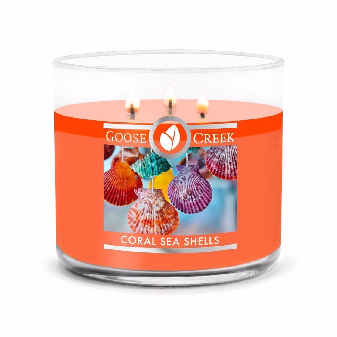 Coral Sea Shells 411g (3-Docht)
