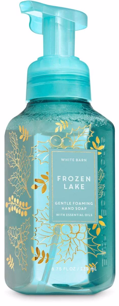 61N9m1LtFOLasdfgg Frozen Lake 259ml Schaumseife