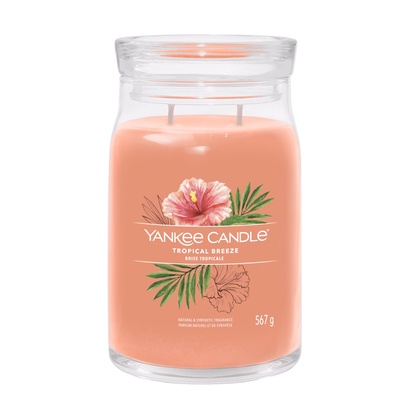 Tropical Breeze Signature Large Jar 567g 2-Docht