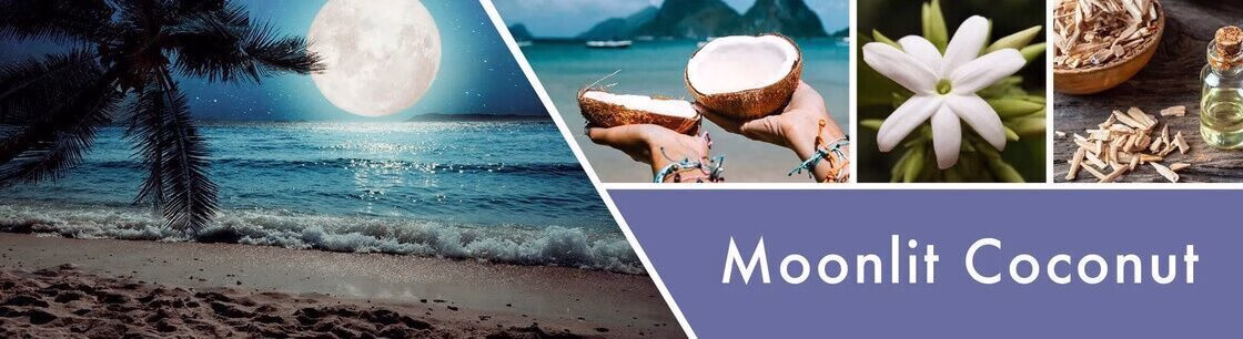 goose-creek-candlez-moonlit-coconut-fluessige-schaum-handseife-270ml-2 Moonlit Coconut 411g (3-Docht)