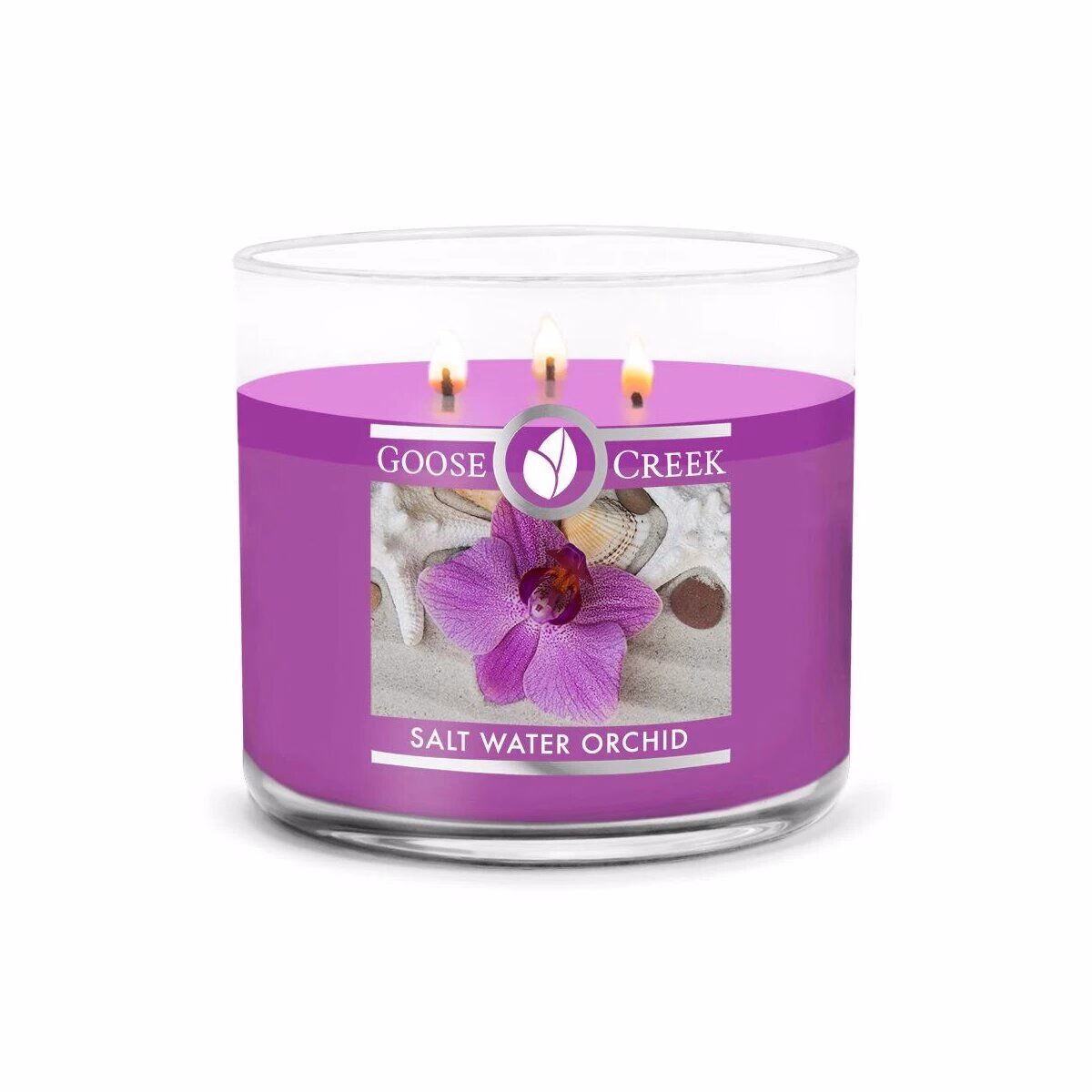 salt-water-orchid-3-docht-kerze-411g Salt Water Orchid 411g (3-Docht)