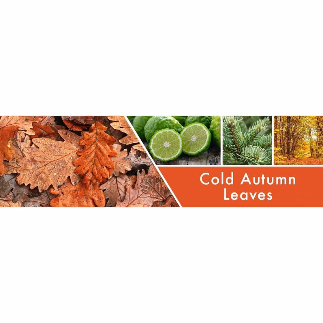 cold-autumn-leaves-2-docht-kerze-680g-2 Cold Autumn Leaves 680g