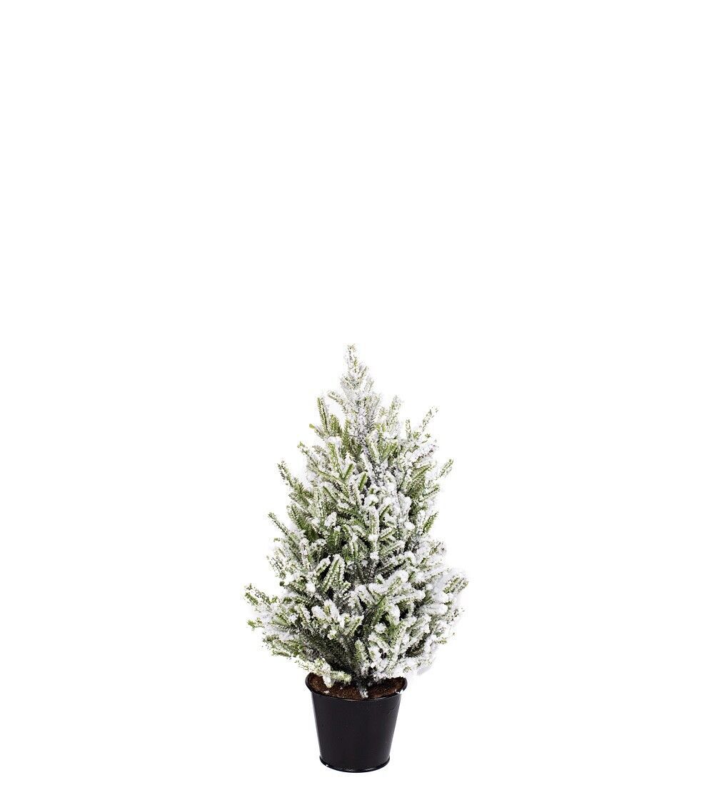 690146_100_01 Dekobaum Aure S