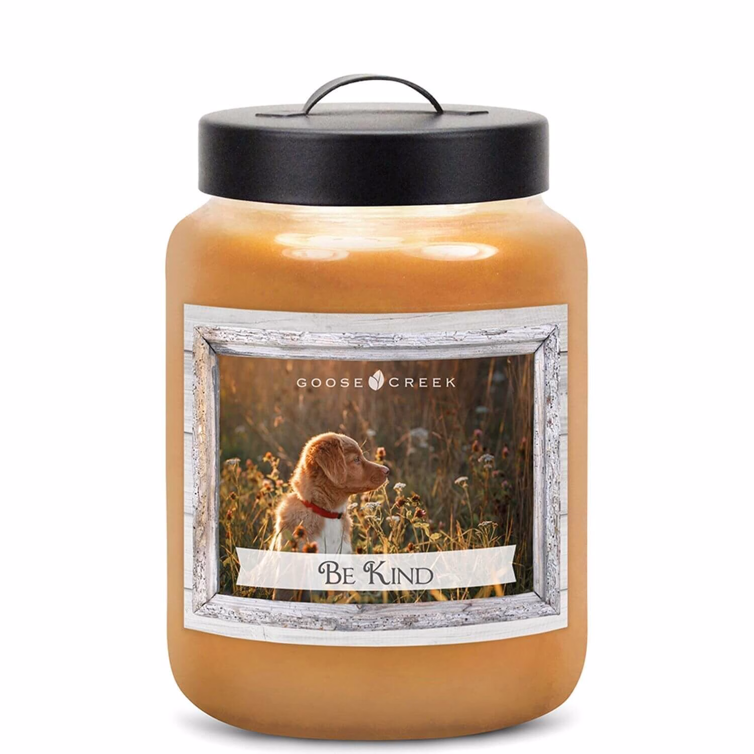 Goose Creek Candle - Sweet Banana Bread Beautiful Life Collection 680g