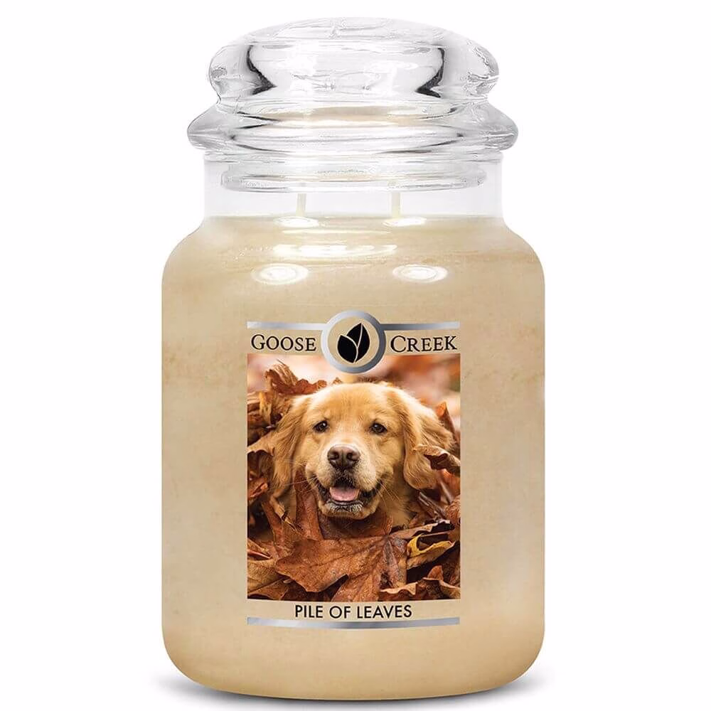 pile-of-leaves-2-docht-kerze-680g Pile of Leaves 680g von Goose Creek Candle