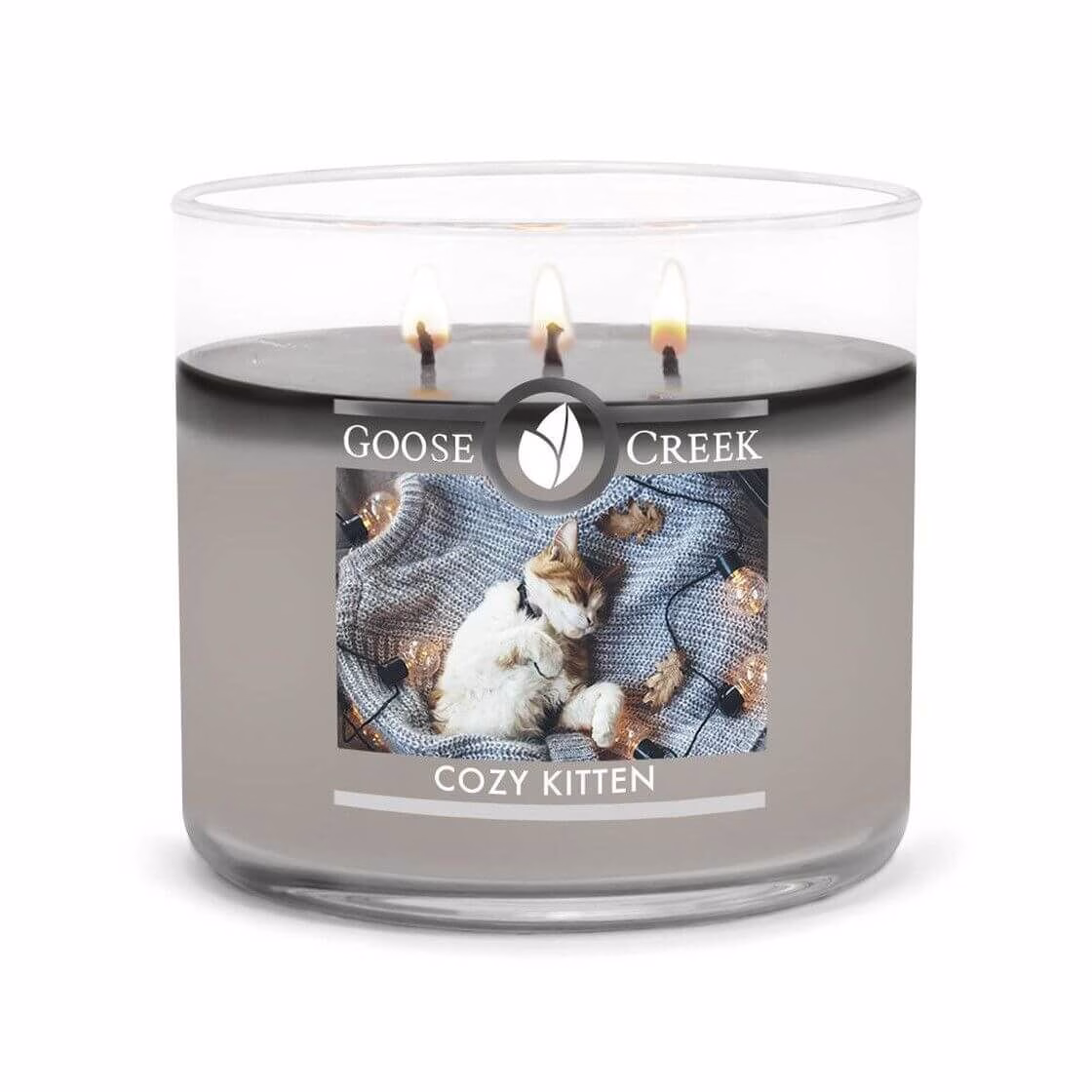 GC-206PqH4uivsMrYf Cozy Kitten 411g (3-Docht)