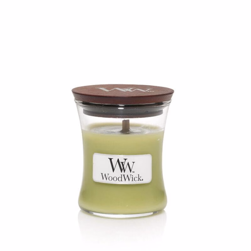 98189 Fern 85g