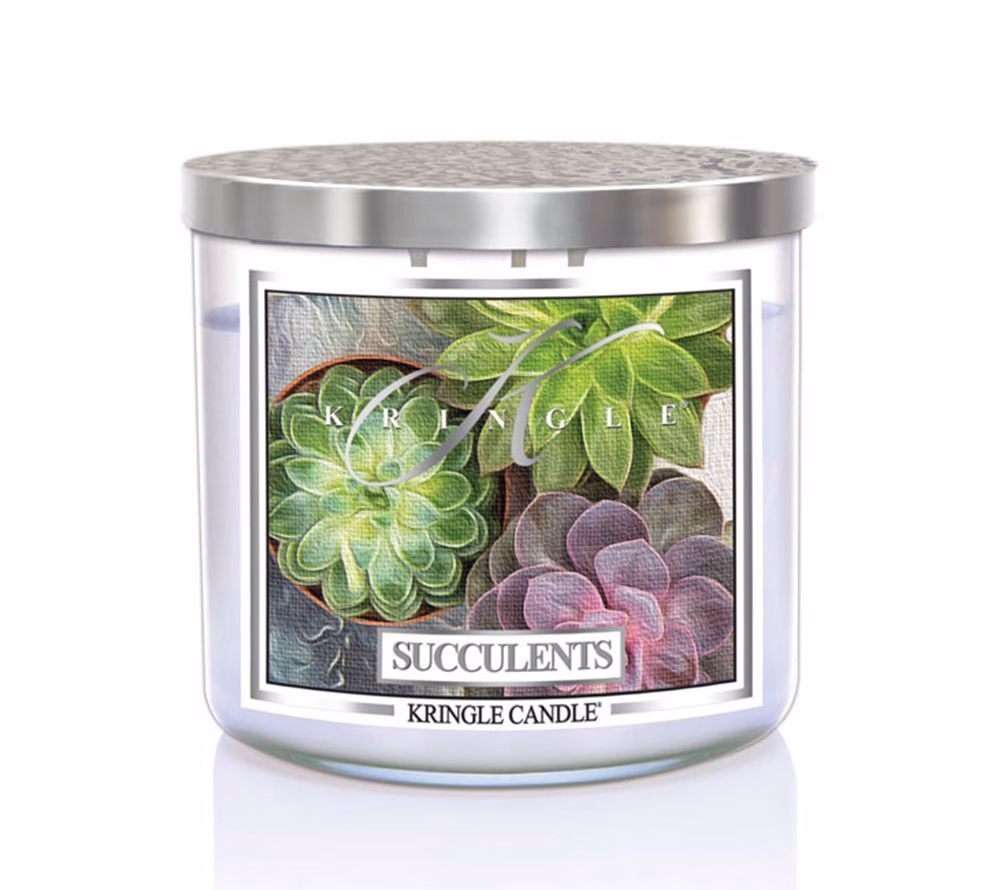 Succulents 396g Tumbler 3-Docht