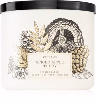 Spiced Apple Toddy - 411g 3-Docht Kerze