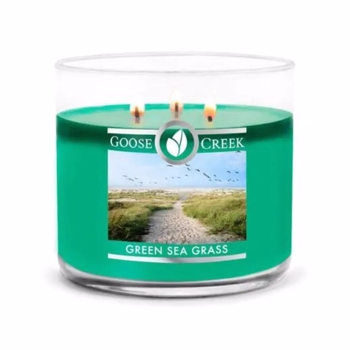 Green Seagrass 411g