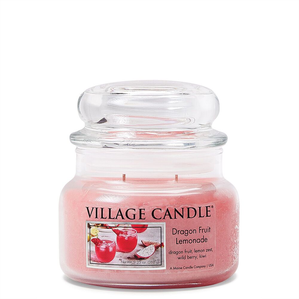 4110244 Dragon Fruit Lemonade 262g