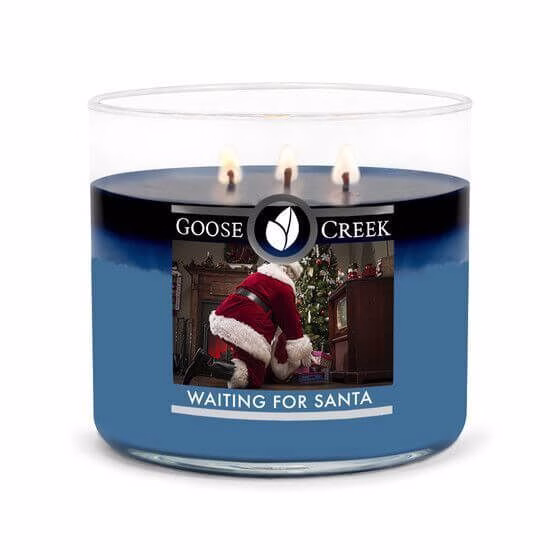 Goose Creek Waiting for Santa