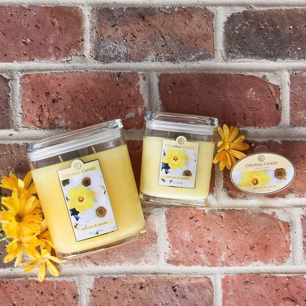 CC14_AAFES_Feature_DaffodilsAndDaisies2 Colonial Candle - Daffodils & Daisies Simmer Snaps 70g
