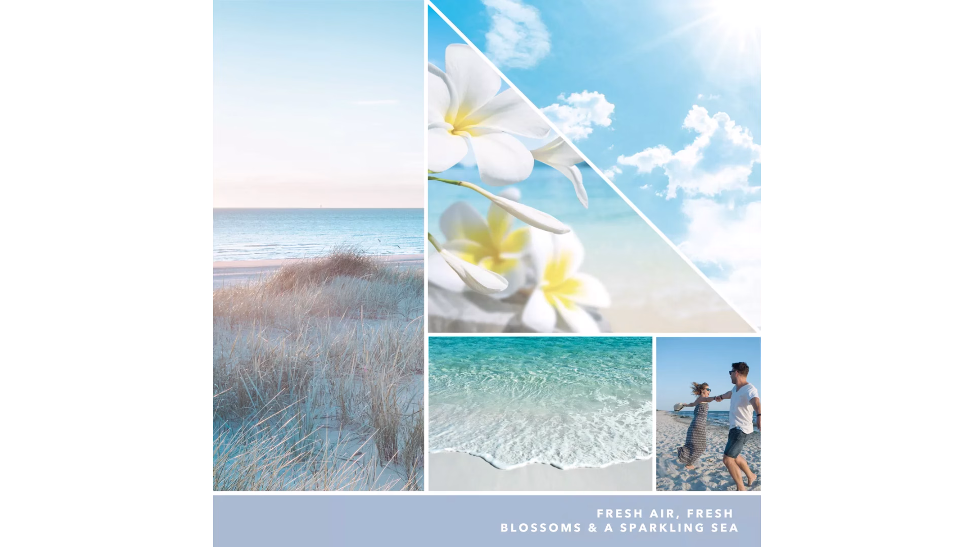 Download-12 Ocean Air 37g