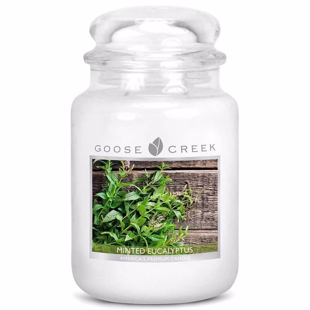 ES26356-Minted-Eucalyptus-24oz-Jar Goose Creek Candle Minted Eucalyptus 680g
