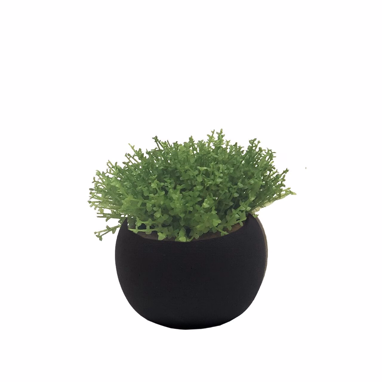 49VpxXkMGvYg2t Deko Succulente 12cm Variante 4