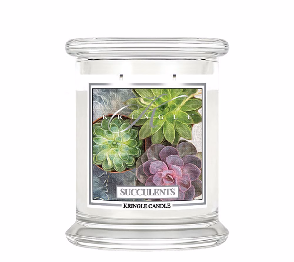 Succulents 411g