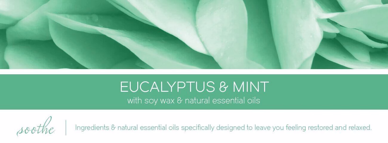 eucalyptus-mint-aromatherapy-candle-fragranceT4B9BiYxZ0PQr SOOTHE Eucalyptus & Mint 411g (3-Docht)