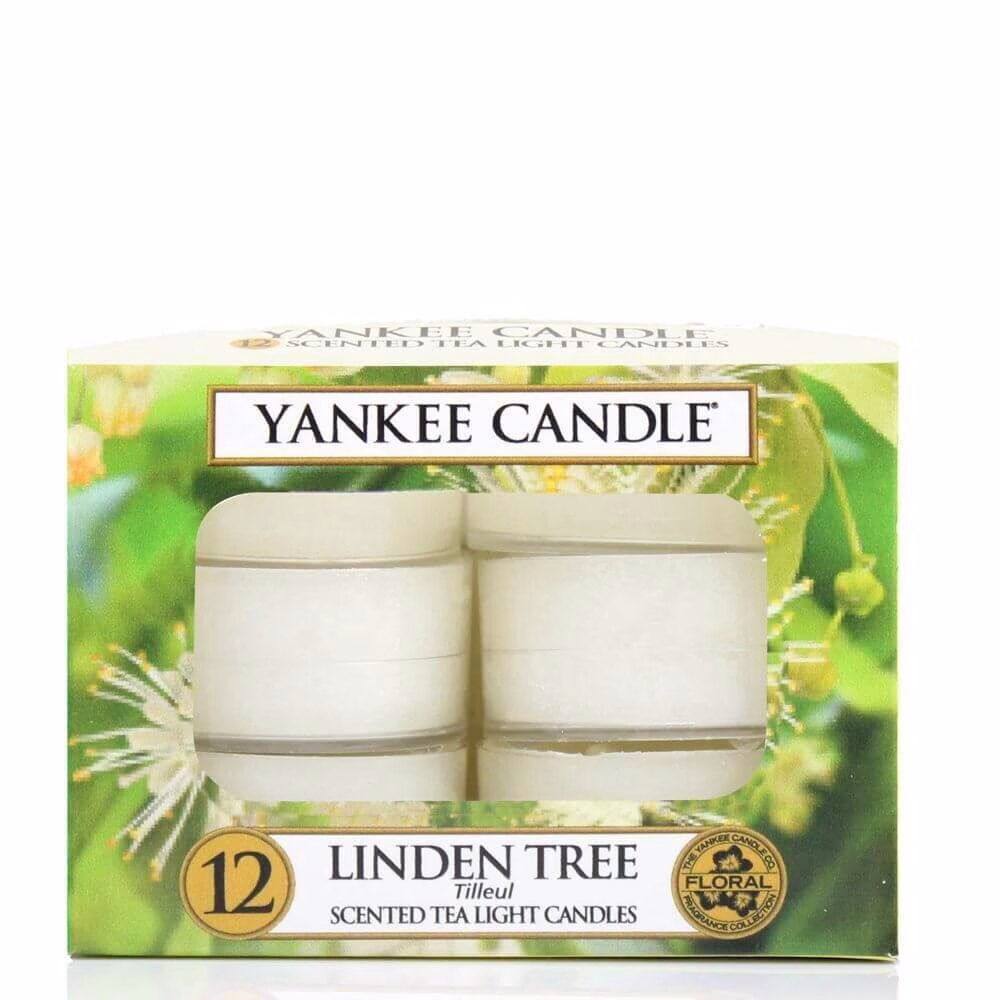 Linden Tree 12St