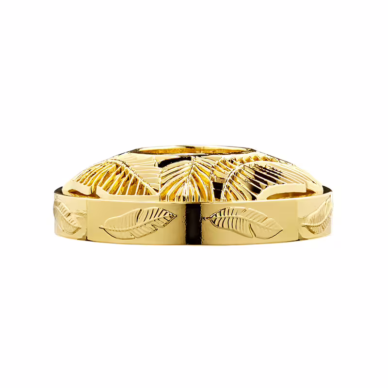 The-Last-Paradise-Illuma-Lid The Last Paradise - Illuma-Lid