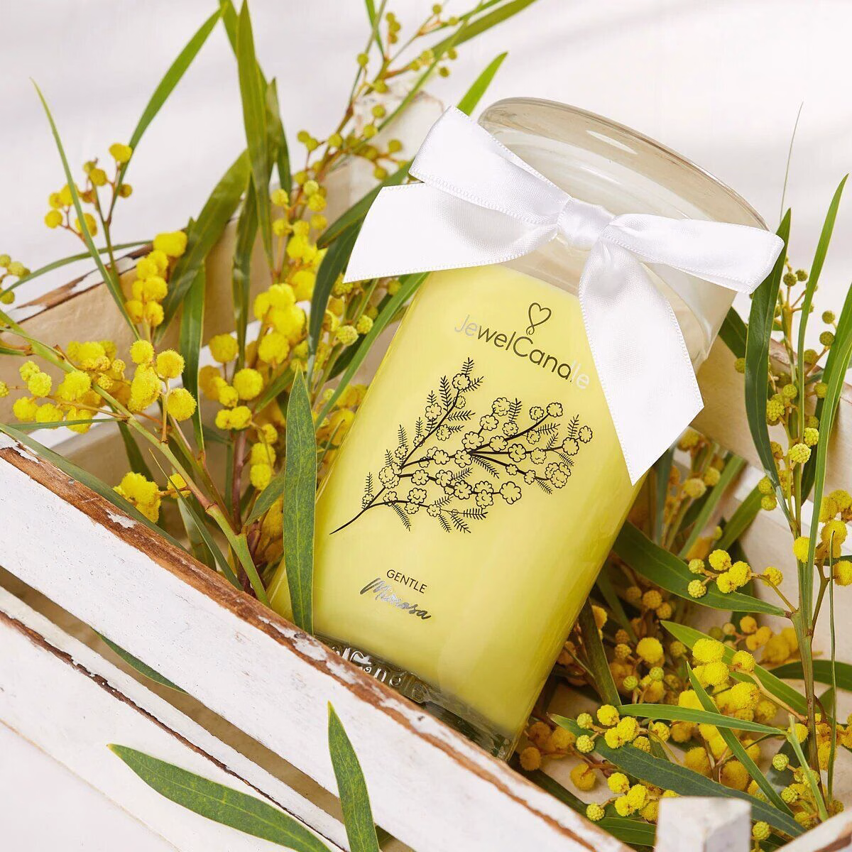 Gentile Mimosa (Ohrringe) 400g