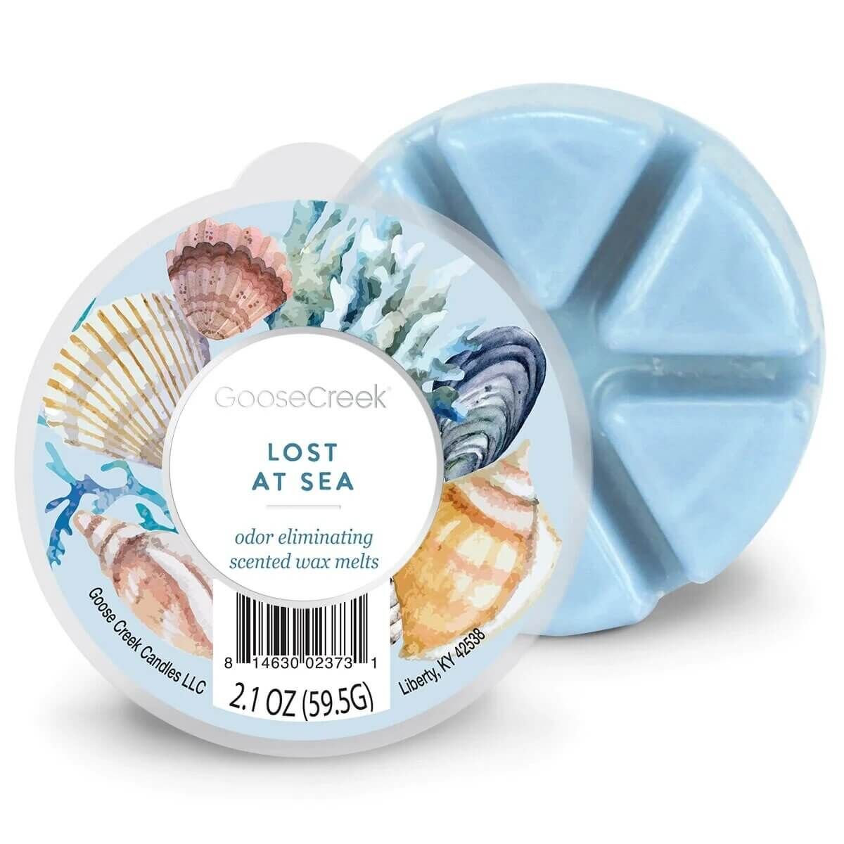 Lost At Sea 59g Tier, Wirbelloses Tier, Leben im Meer, Muschel, Klebeband